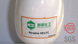 Atrazine 98%TC